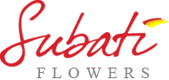 Subati Group logo